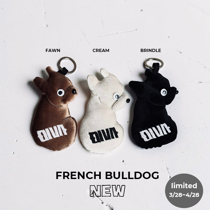 Dog goods, personalized doggie keychains, name tags, embroidered