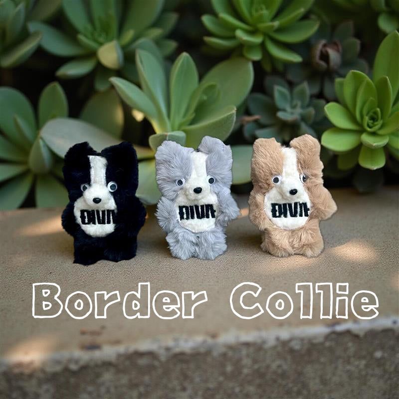 Dog goods, personalized doggie keychains, name tags, embroidered